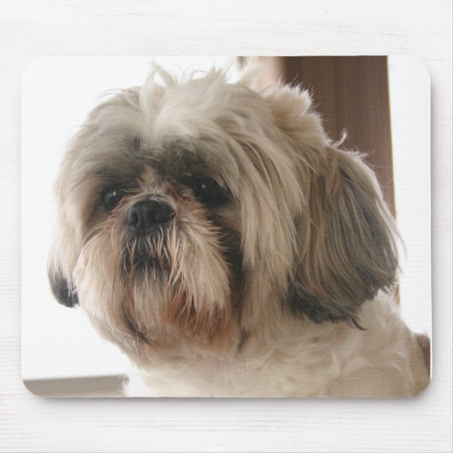 Shih Tzu Mousepad (Vorne)