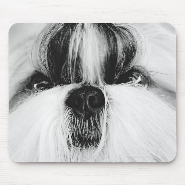 Shih Tzu Mousepad (Vorne)