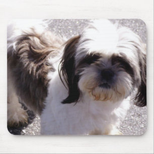 Shih-Tzu Mousepad
