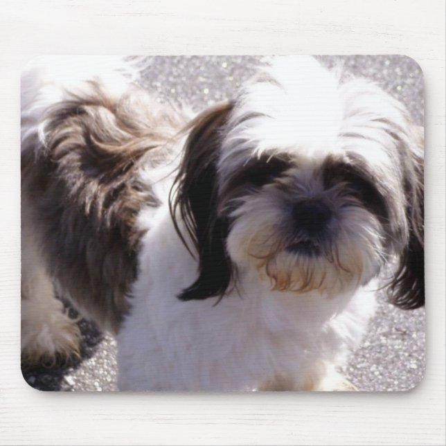 Shih-Tzu Mousepad (Vorne)