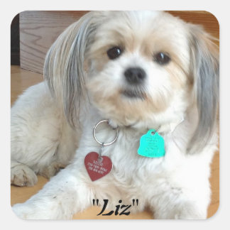 Shih Tzu nennt Liz Sticker