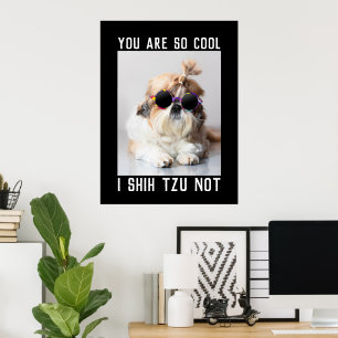 Shih Tzu Nicht lustig süß cooler Hund Benutzerdefi Poster