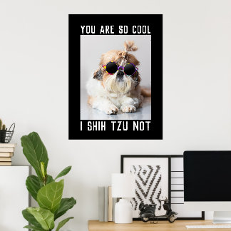 Shih Tzu Nicht lustig süß cooler Hund Benutzerdefi Poster