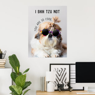 Shih Tzu Nicht lustige niedliche Hunde Liebhaber C Poster