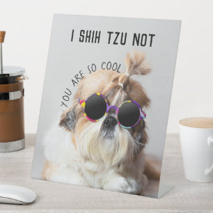 Shih Tzu Nicht lustige niedliche Hunde Liebhaber C Sockelschild