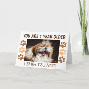 Shih tzu nicht lustiger Geburtstag 1 Jahr älter Gr Karte