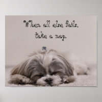 Shih Tzu Nickerchen