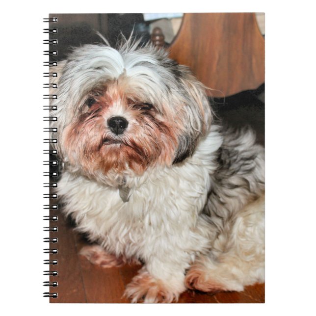 Shih Tzu Notizblock (Vorderseite)