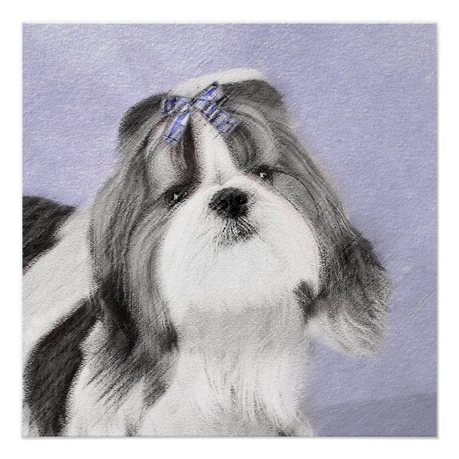 Shih Tzu Painting - Niedliche Original Dog Art Poster (Vorderseite)