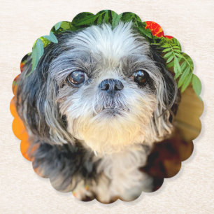 Shih Tzu Paper-Untersetzer Untersetzer