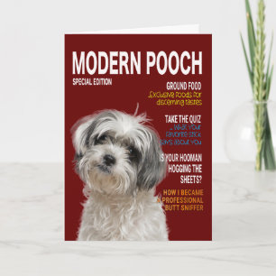 Shih Tzu Parody Magazine Cover Card Karte