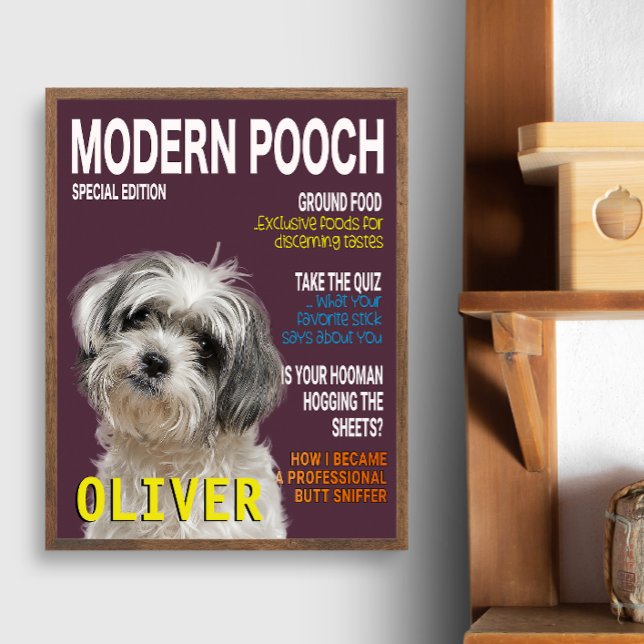 Shih Tzu Parody Magazine Cover Fotodruck (Von Creator hochgeladen)