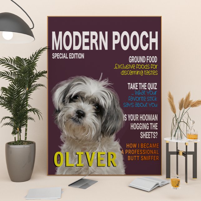 Shih Tzu Parody Magazine Cover Poster (Von Creator hochgeladen)