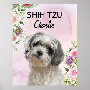 Shih Tzu Personalisiert Poster
