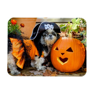 Shih Tzu Pirate Girl Flexible Foto Magnet