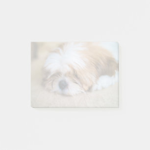Shih Tzu Post-it Klebezettel