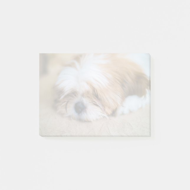 Shih Tzu Post-it Klebezettel (Vorderseite)