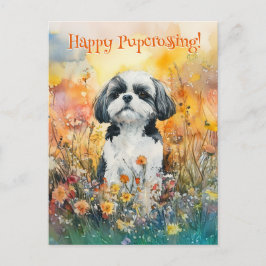 Shih Tzu Postcross - Postkarte