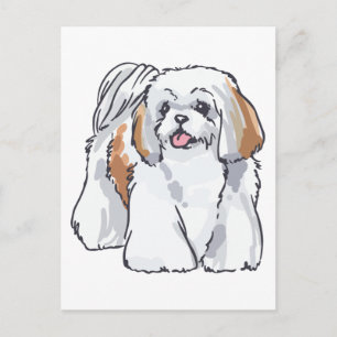 Shih Tzu Postkarte