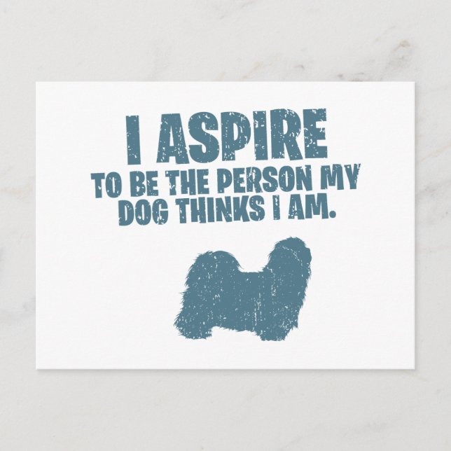 Shih Tzu Postkarte (Vorderseite)