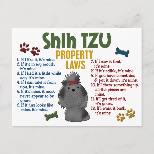 Shih Tzu Property Laws 4 Postkarte (Vorderseite)
