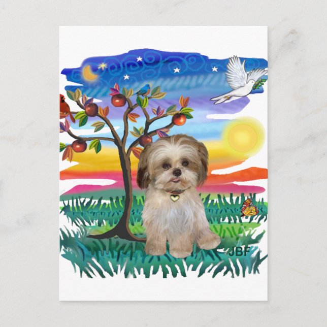 Shih Tzu Pup #2 Postkarte (Vorderseite)