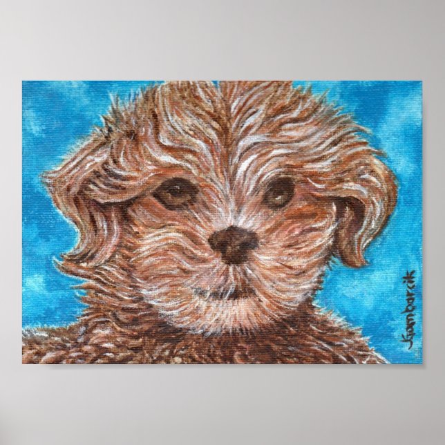 Shih Tzu Puppy Dog drucken Poster (Vorne)