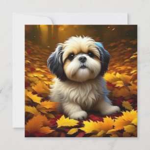 Shih Tzu Puppy Dog Spielen in Herbstlauben