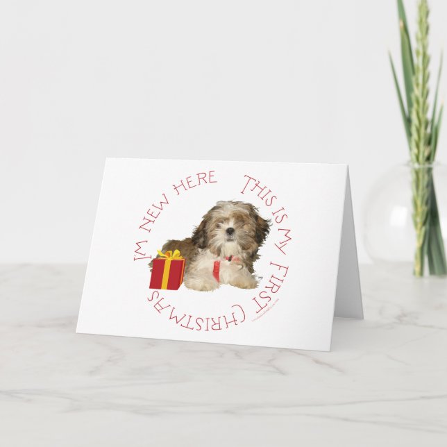 Shih Tzu Puppy First Christmas Feiertagskarte (Vorderseite)
