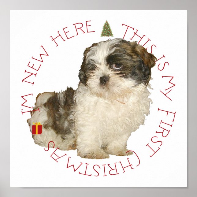 Shih Tzu Puppy First Christmas Poster (Vorne)