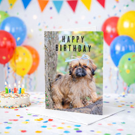 Shih Tzu Puppy Happy Birthday Card Cute Dog Karte