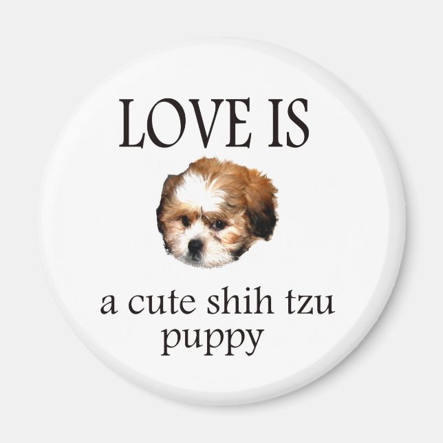 Shih Tzu Puppy Magnet (Vorne)