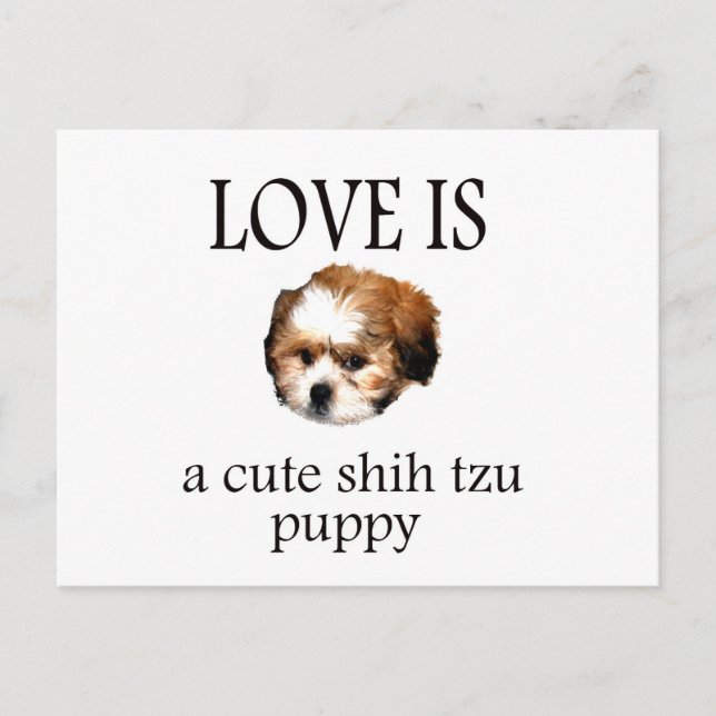 Shih Tzu Puppy Postkarte (Vorderseite)