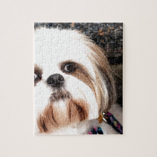 Shih Tzu Puzzle (Vertikal)