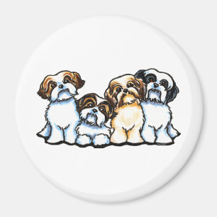 Shih Tzu Quarttet Magnet