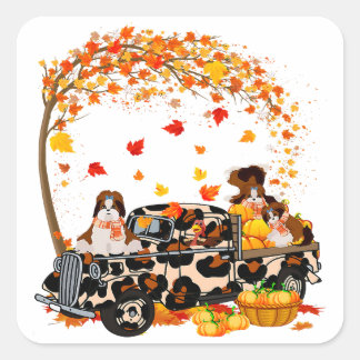 Shih Tzu Riding Leopard Truck Pumpkin Erntedank Quadratischer Aufkleber
