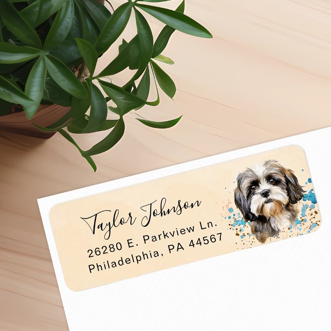 Shih Tzu Rücksendeadresse (Von Creator hochgeladen)