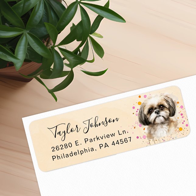 Shih Tzu Rücksendeadresse (Von Creator hochgeladen)