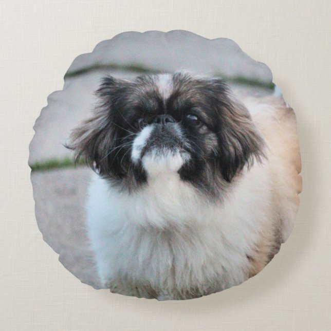 Shih Tzu Rundes Kissen (Vorderseite)