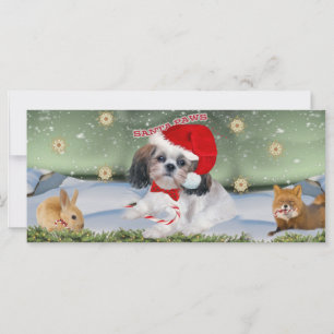 Shih Tzu Santa Paws Geschenke