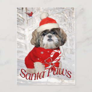 Shih Tzu Santa Paws Geschenke Feiertagspostkarte