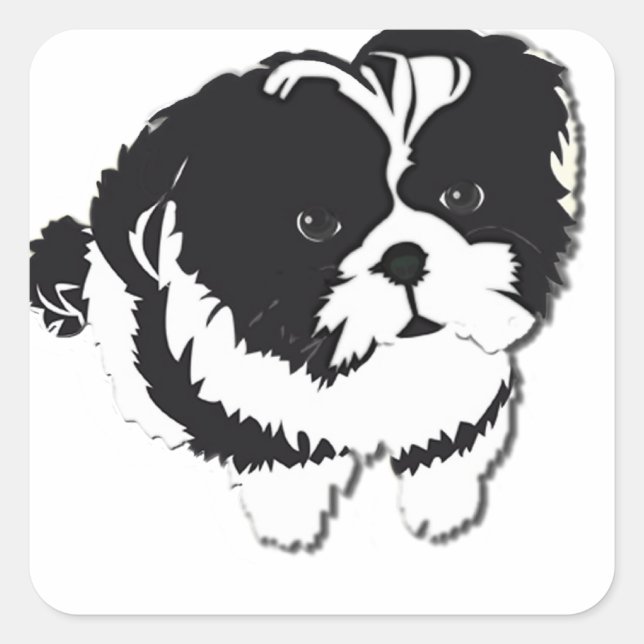 Shih Tzu Schwarz-weiß Dog Pet Quadratischer Aufkleber (Vorderseite)