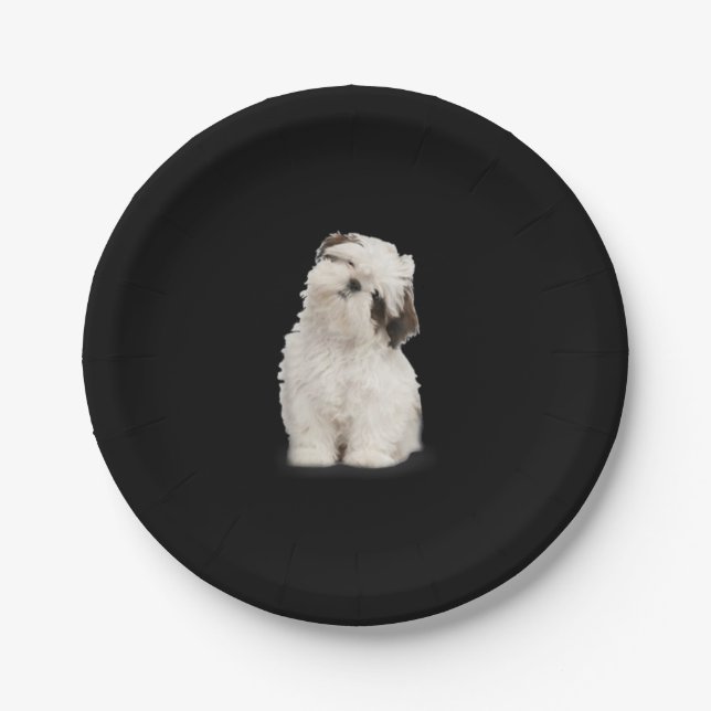 Shih Tzu | Shih Tzu Welppy Gift Pappteller (Vorderseite)