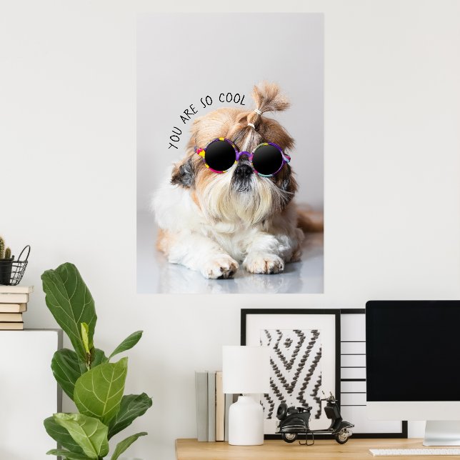 Shih Tzu Sie sind so Cool niedlicher Spaß Sonnenbr Poster (Heimbüro)