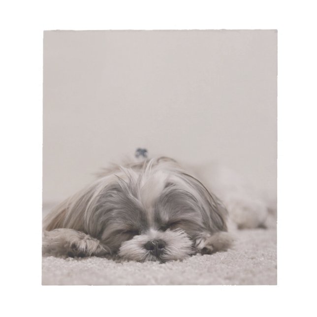 Shih tzu Sleeping Notepad , Sleeping Dog Notizblock (Vorderseite)