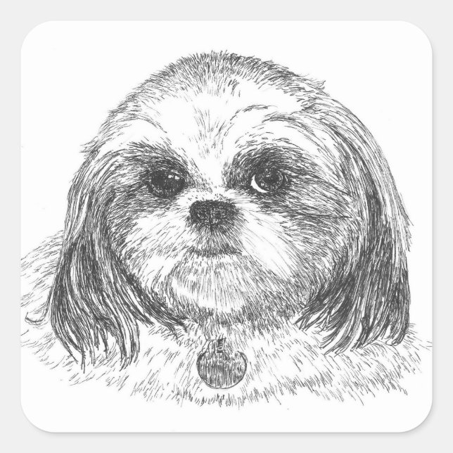 Shih Tzu Square Sticker (Vorderseite)