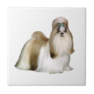 Shih Tzu (Stand anzeigen) Fliese