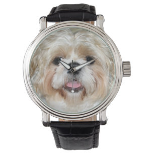 Shih Tzu stellen gegenüber Armbanduhr