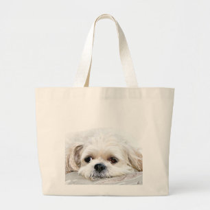 Shih Tzu stellen Tasche gegenüber