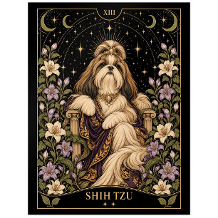 Shih Tzu, Sternen-Tarot-Kunst Postkarte